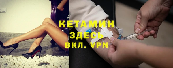 твердый Пересвет