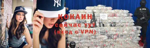 тгк Алексин