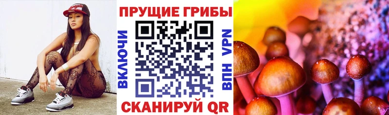kraken маркетплейс  купить  цена  Себеж  Псилоцибиновые грибы прущие грибы 